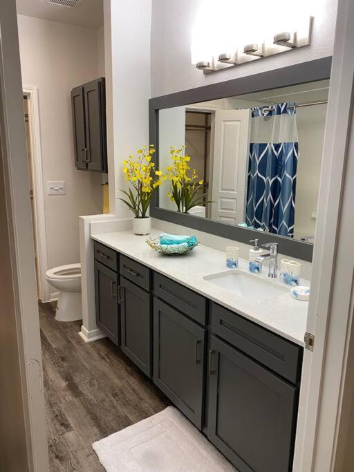 Your Warm Spacious Unit With Pool - Medical Center Houston Exterior foto